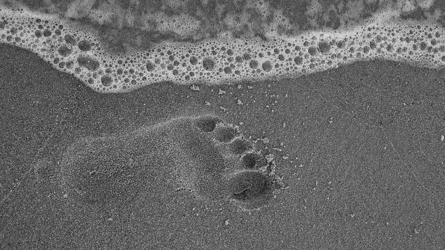 footprints image