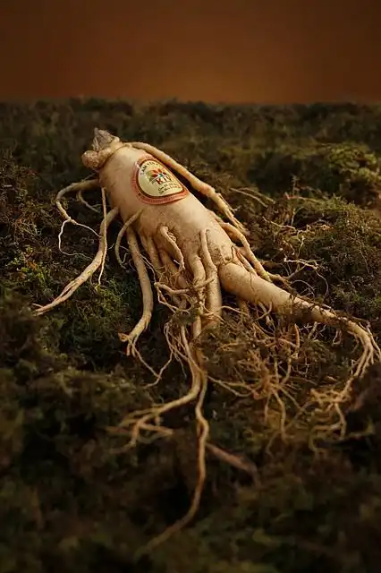 ginseng image