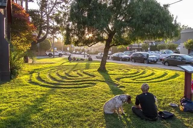 labyrinth image