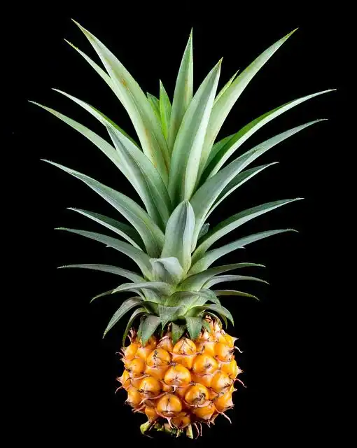 pineapple image