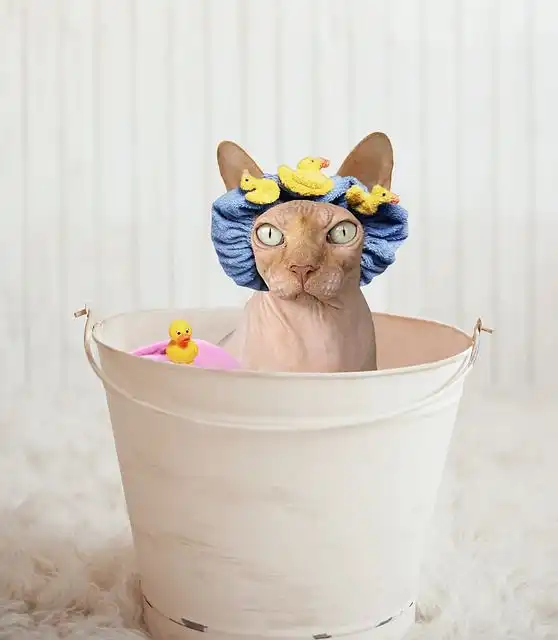 shower-cap image