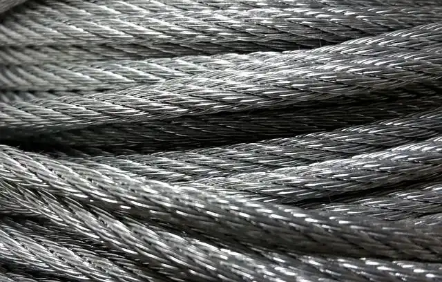 silver-cord image