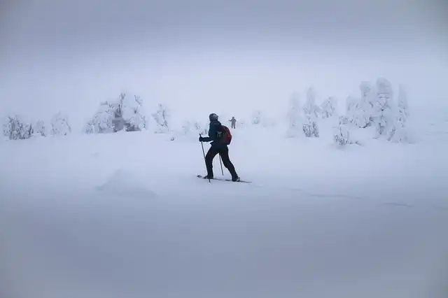 snowshoes image