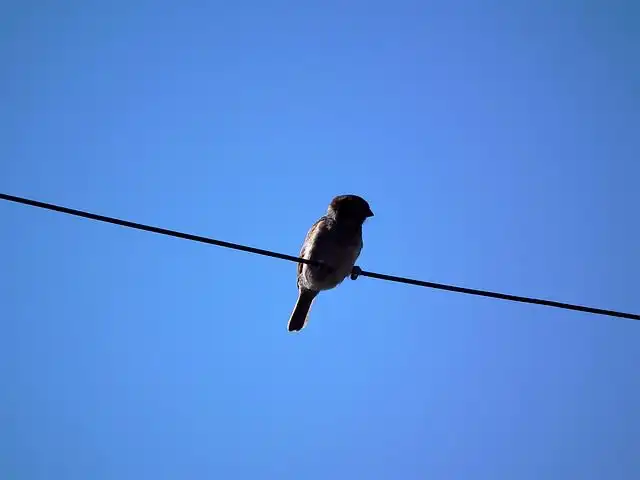 sky-blue image